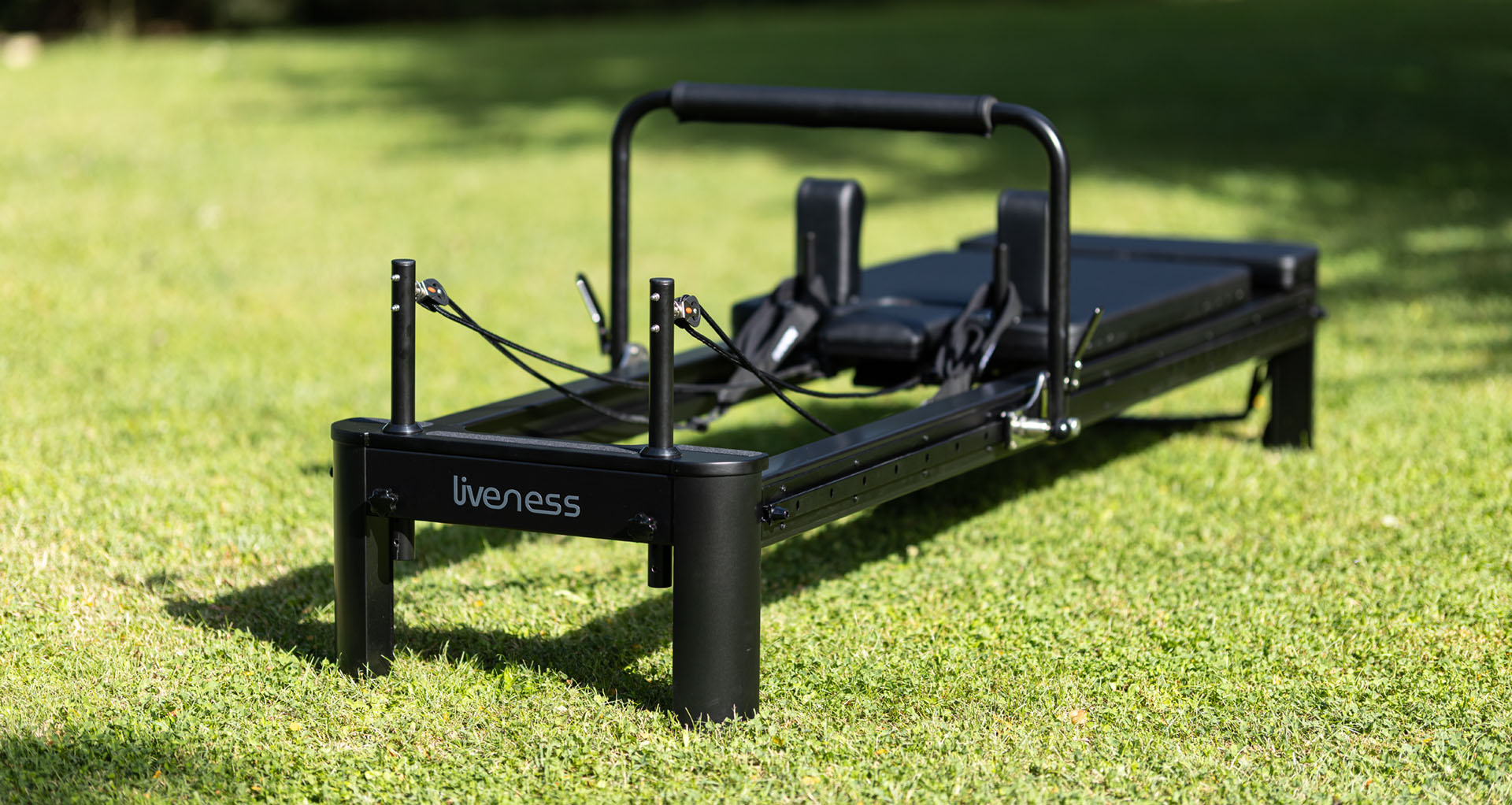 Liveness by toorxprofessional