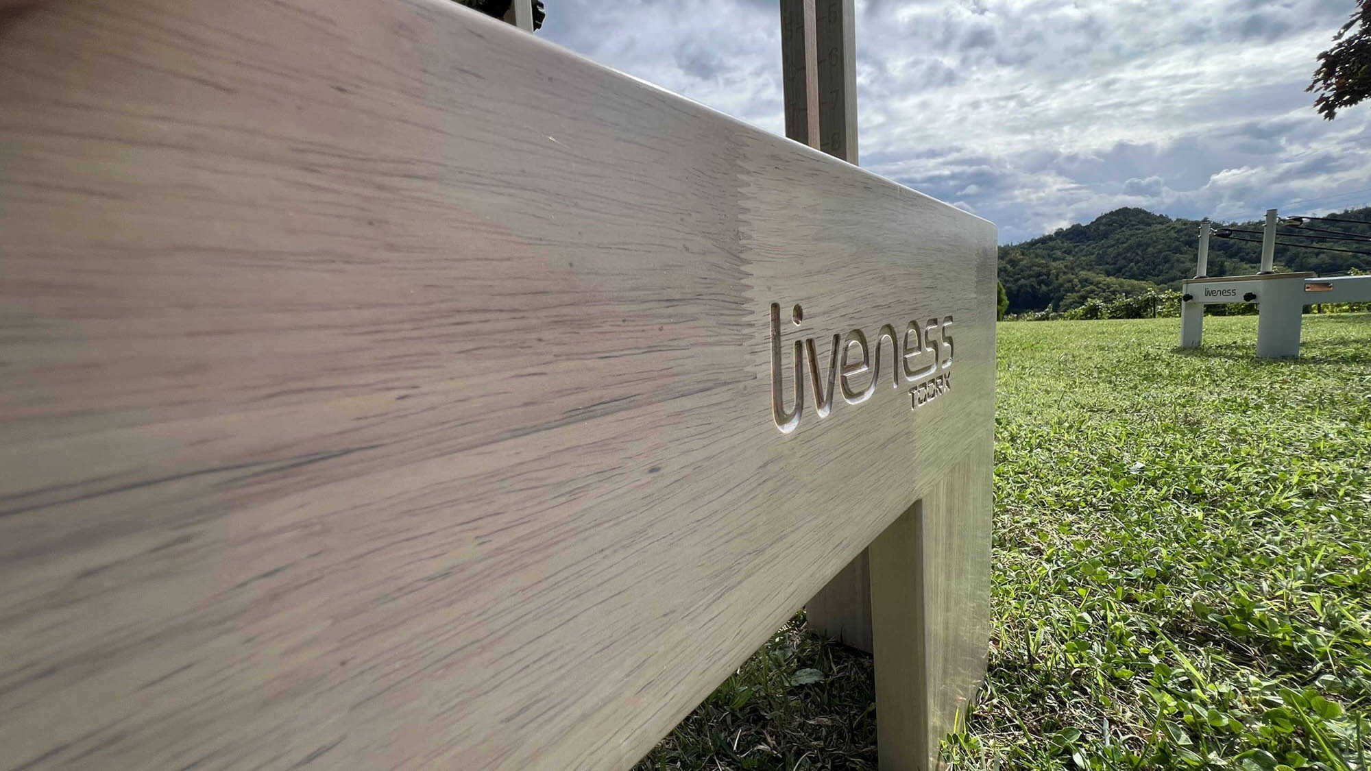 Liveness by toorxprofessional