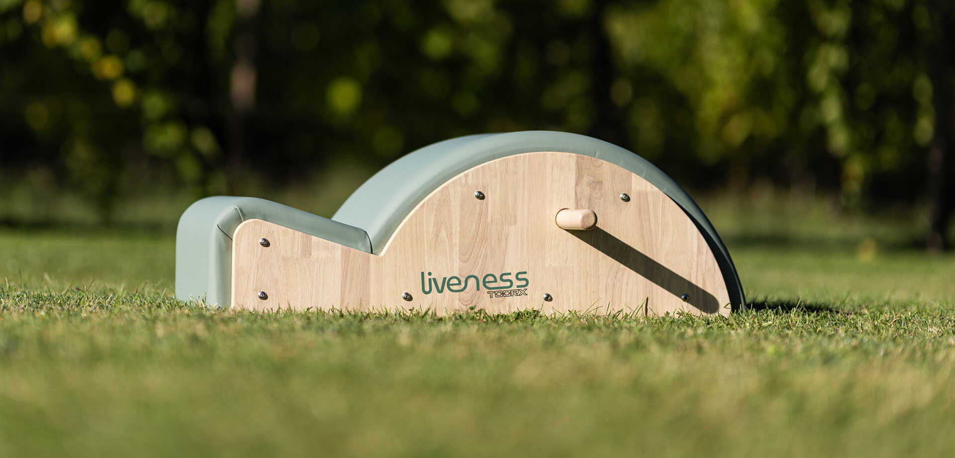 Liveness by toorxprofessional